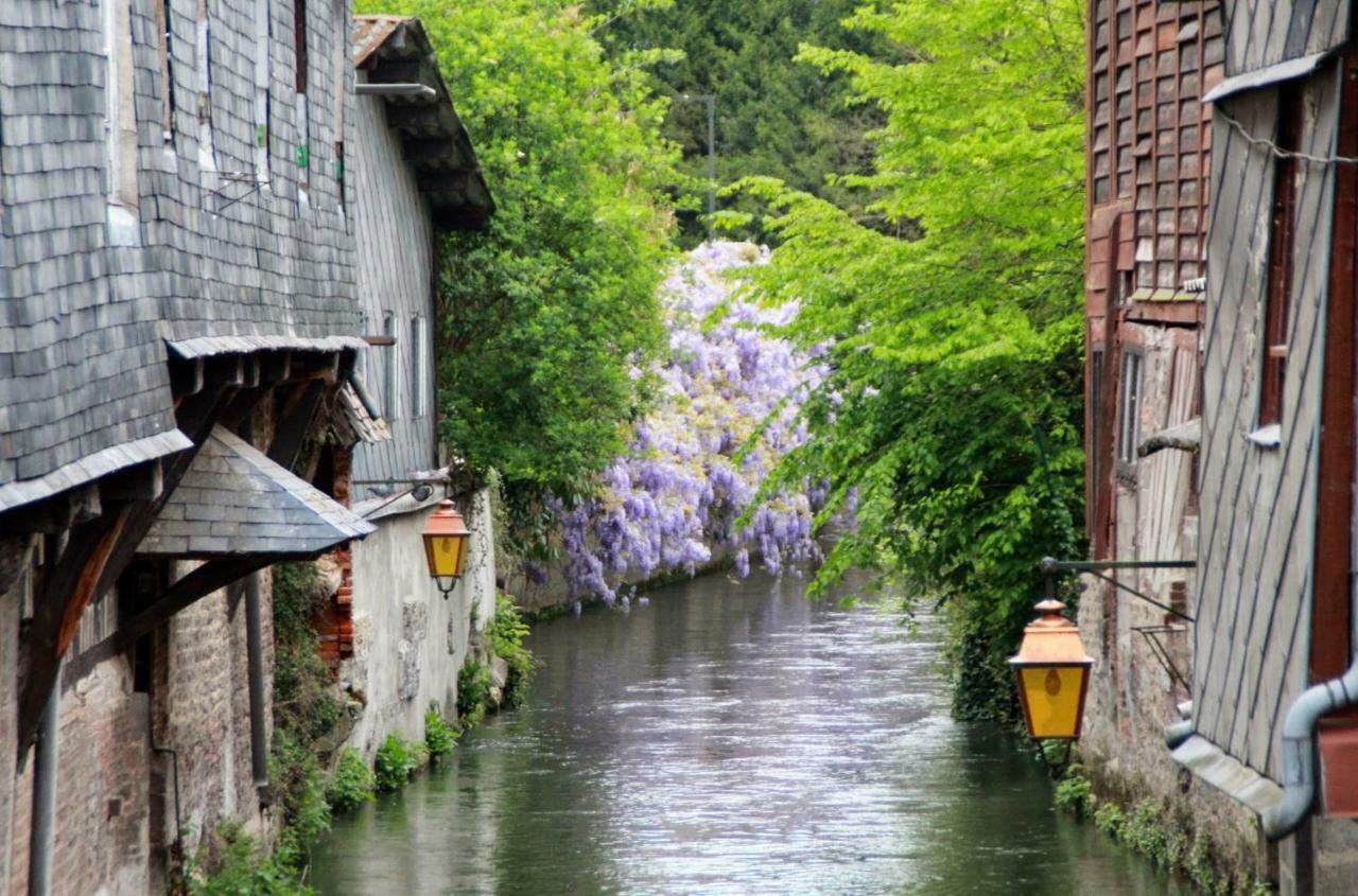 Le Clos Des Hortensias Toutainville Exteriör bild